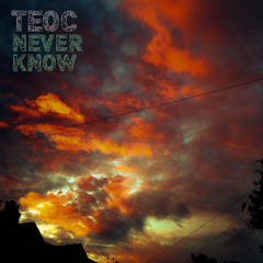 Never Know [Free Download]