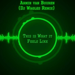 This Is What It Feels Like ~ Armin van Buuren(Dj Wagles Remix)