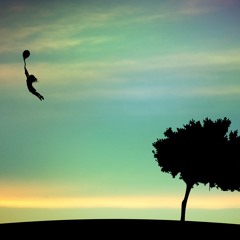 Fly On The Waltz - The Dreamer