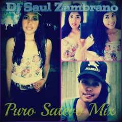 Puro Satevo Mix