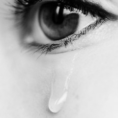 Epic Metal Mayhem - I'm Erased (Can't take this anymore) Metalcore mock Feat. Lars Kirsebom