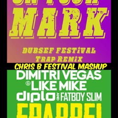 Eparrei (W&W Remix) Vs Wiwek - On Your Mark (Chris B Festival Mashup)