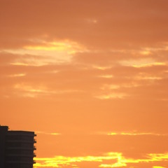 NOIANIZ - Quit Now And Cake Will Be Served