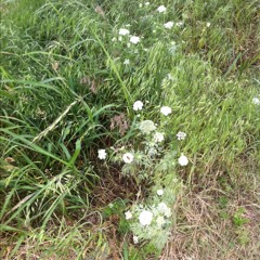 한남대교에서 반포대교로