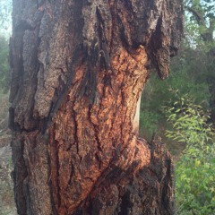 Perfection - Archangel Michael, Channeled by Daniel Scranton