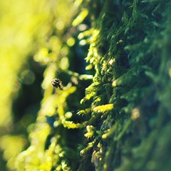 بطل ياس و فشل.m4a