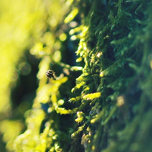 بطل ياس و فشل.m4a