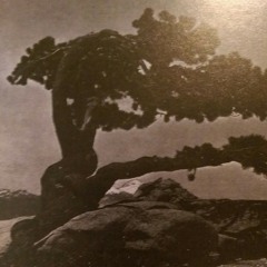 Lost thoughts -Arkamedes.Eaze.Reno davinci