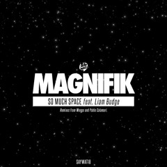 Magnifik ft Liam Budge - So Much Space (Wongo Remix)