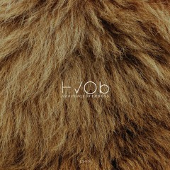 HVOB - Lion (Stimming Remix)