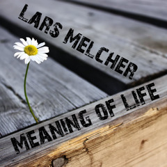 Meaning Of Life (Original Mix)