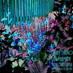 Danny Darko ft. Lulu Falemara - Silent Cries Remix *Produced by Vic Velour*