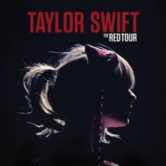 Taylor Swift - The Story Of Us (Live The Red Tour Newark, March 28th)
