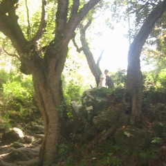 Timboletti - Araklezmer - Ali Een Remix