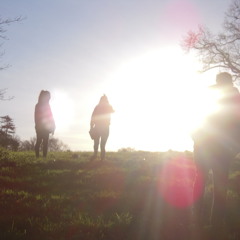 Tash, Alex, Tom, Ferdi & Morgan - Summer Day