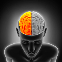 Production KB - Right Hemisphere (Original Mix)