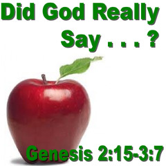 Did God Really Say . . . ?
