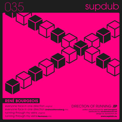 Rene Bourgeois - running through my Veins - (Hermanez Remix) - snip