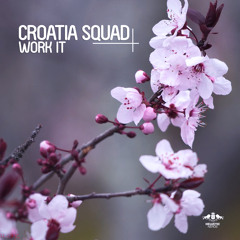 Croatia Squad - Work It (Original Mix)