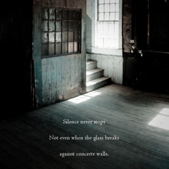 Slippery road [naviarhaiku021 - Silence never stops]