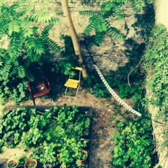 alt und neu gesellt sich gern