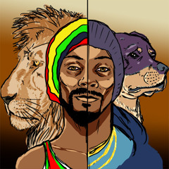 Lighters Up (Snoop Lion)