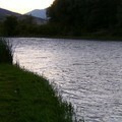 Missing The Green River