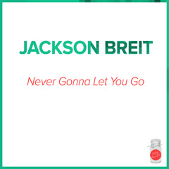Never Gonna Let You Go