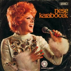 Ölmeden Gel - Neşe Karaböcek
