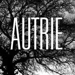 Question-SOAD Cover By Autrie 05/31/14