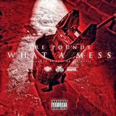 What A Mess x TrePounds