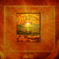 Know the Sun's Gold