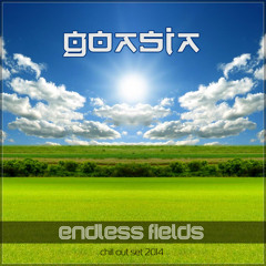 Goasia At Endless Fields Chill Out Live Set