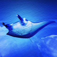 BLUE PLANET