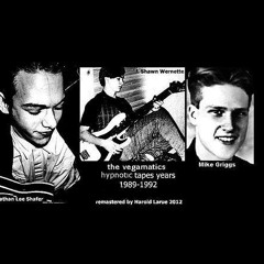 The Vegamatics - Comatose Fiancee (Lo Fi Rock Version)