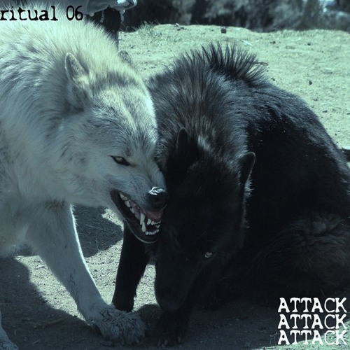 RITUAL 06- ATTACK ATTACK ATTACK