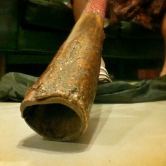 echenoz didgeridoo #1