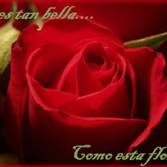 Pensando En Ti Remix:    Omega Rm, Kañaone (De Mente Poeta), Freescolate Y Santa Rm