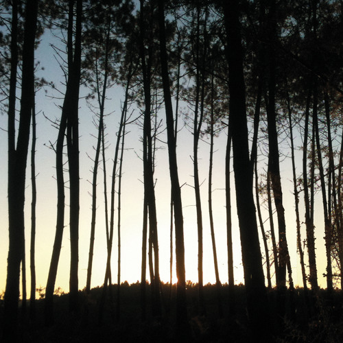 Francois & The Atlas Mountains – The Way To The Forest (Ibibio Sound Machine Remix)