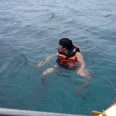 Teardrops (Original)