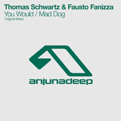 Thomas Schwartz & Fausto Fanizza - You Would