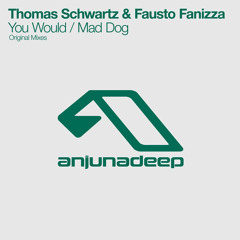 Thomas Schwartz & Fausto Fanizza - You Would / Mad Dog