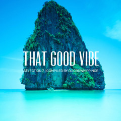 That Good Vibe Selection 7 | Compiled By DJ Crown Prince