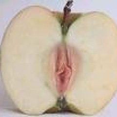 The People' Friend - Some Respite