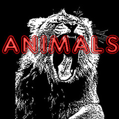 Martin Garrix - Animals (The Project HANDS UP)