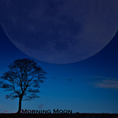 Morning Moon