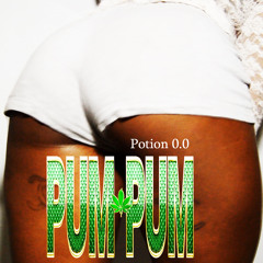 Pum Pum Rmx (Poil A Gratter Riddim by #Psk) RAW rmx by #Dj Fab