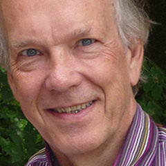 Core Quadrant and personal development - Daniel Ofman