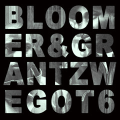 Bloomer & Illfort Grantz - We Got 6 (Original Mix)