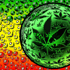 Toke With It